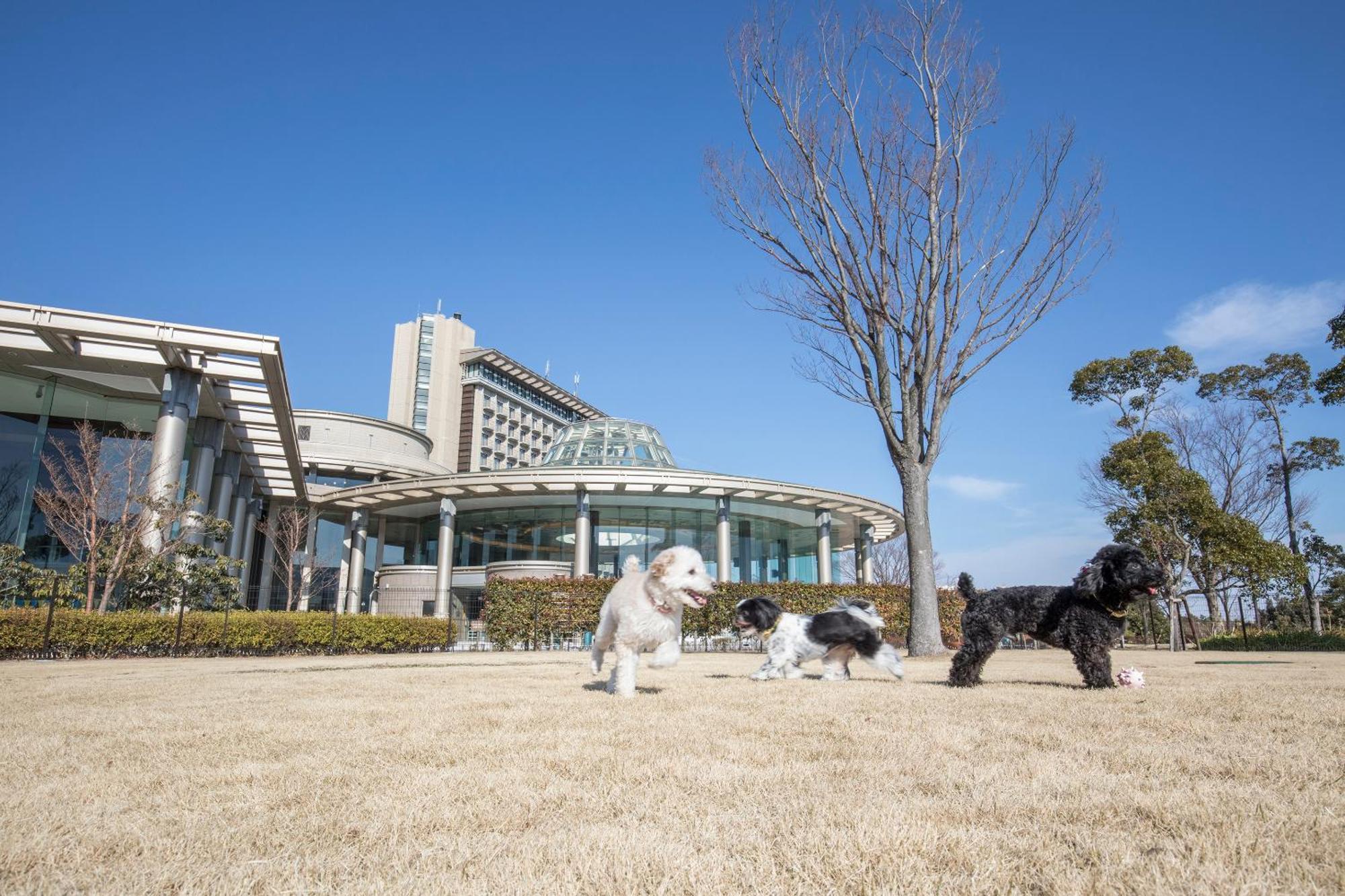 Hilton Odawara Resort & Spa Екстер'єр фото